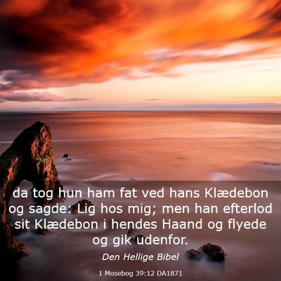 Picture 03 - 1 Mosebog 39:12 DA1871 - da tog hun ham fat ved hans Klædebon og sagde: - Bible Verse Picture
