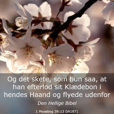 Picture 03 - 1 Mosebog 39:13 DA1871 - Og det skete, som hun saa, at han efterlod sit - Bible Verse Picture