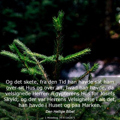 Picture 03 - 1 Mosebog 39:5 DA1871 - Og det skete, fra den Tid han havde sat ham over - Bible Verse Picture