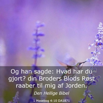 Picture 03 - 1 Mosebog 4:10 DA1871 - Og han sagde: Hvad har du gjort? din Broders - Bible Verse Picture