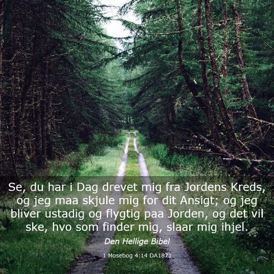 Picture 03 - 1 Mosebog 4:14 DA1871 - Se, du har i Dag drevet mig fra Jordens Kreds, og - Bible Verse Picture