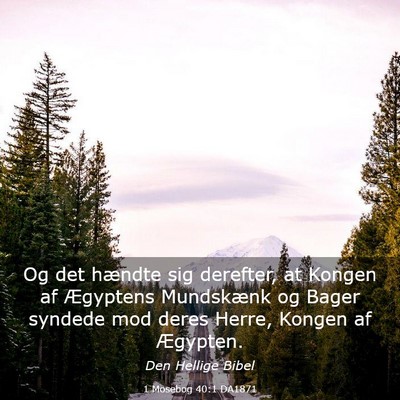 Picture 03 - 1 Mosebog 40:1 DA1871 - Og det hændte sig derefter, at Kongen af - Bible Verse Picture