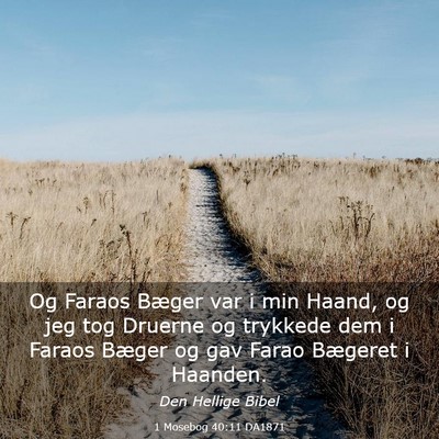 Picture 03 - 1 Mosebog 40:11 DA1871 - Og Faraos Bæger var i min Haand, og jeg tog - Bible Verse Picture