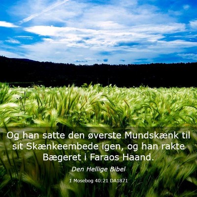 Picture 03 - 1 Mosebog 40:21 DA1871 - Og han satte den øverste Mundskænk til sit - Bible Verse Picture