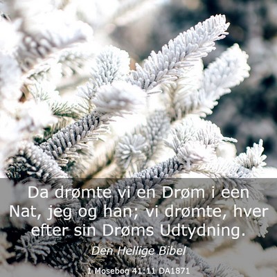 Picture 03 - 1 Mosebog 41:11 DA1871 - Da drømte vi en Drøm i een Nat, jeg og han; vi - Bible Verse Picture