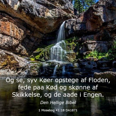 Picture 03 - 1 Mosebog 41:18 DA1871 - Og se, syv Køer opstege af Floden, fede paa Kød - Bible Verse Picture