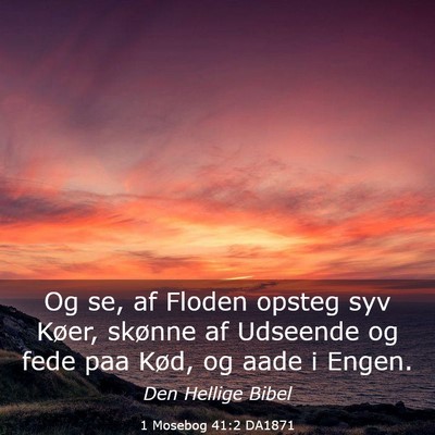Picture 03 - 1 Mosebog 41:2 DA1871 - Og se, af Floden opsteg syv Køer, skønne af - Bible Verse Picture