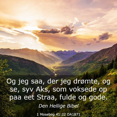 Picture 03 - 1 Mosebog 41:22 DA1871 - Og jeg saa, der jeg drømte, og se, syv Aks, som - Bible Verse Picture