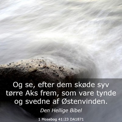 Picture 03 - 1 Mosebog 41:23 DA1871 - Og se, efter dem skøde syv tørre Aks frem, som - Bible Verse Picture