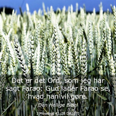 Picture 03 - 1 Mosebog 41:28 DA1871 - Det er det Ord, som jeg har sagt Farao: Gud lader - Bible Verse Picture