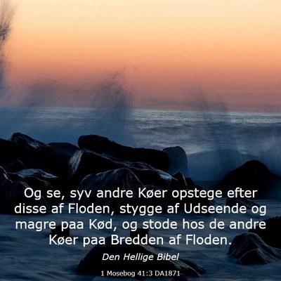 Picture 03 - 1 Mosebog 41:3 DA1871 - Og se, syv andre Køer opstege efter disse af - Bible Verse Picture