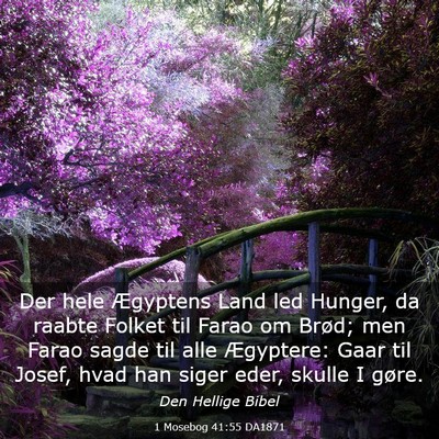 Picture 03 - 1 Mosebog 41:55 DA1871 - Der hele Ægyptens Land led Hunger, da raabte - Bible Verse Picture