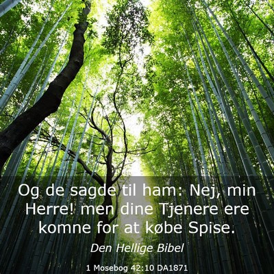 Picture 03 - 1 Mosebog 42:10 DA1871 - Og de sagde til ham: Nej, min Herre! men dine - Bible Verse Picture