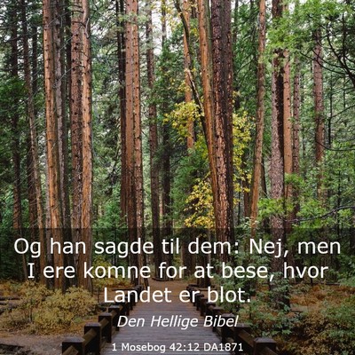 Picture 03 - 1 Mosebog 42:12 DA1871 - Og han sagde til dem: Nej, men I ere komne for at - Bible Verse Picture