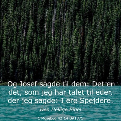 Picture 03 - 1 Mosebog 42:14 DA1871 - Og Josef sagde til dem: Det er det, som jeg har - Bible Verse Picture