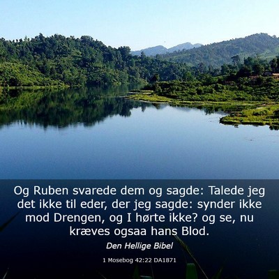 Picture 03 - 1 Mosebog 42:22 DA1871 - Og Ruben svarede dem og sagde: Talede jeg det - Bible Verse Picture