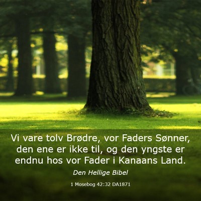 Picture 03 - 1 Mosebog 42:32 DA1871 - Vi vare tolv Brødre, vor Faders Sønner, den ene - Bible Verse Picture