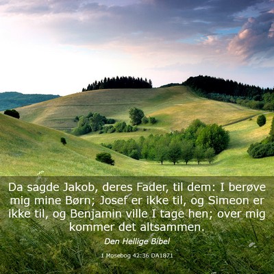 Picture 03 - 1 Mosebog 42:36 DA1871 - Da sagde Jakob, deres Fader, til dem: I berøve - Bible Verse Picture