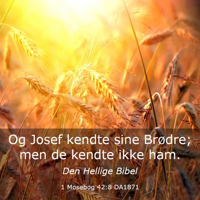 Picture 03 - 1 Mosebog 42:8 DA1871 - Og Josef kendte sine Brødre; men de kendte ikke - Bible Verse Picture