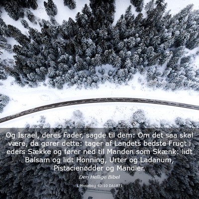 Picture 03 - 1 Mosebog 43:10 DA1871 - Og Israel, deres Fader, sagde til dem: Om det saa - Bible Verse Picture