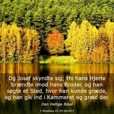 Picture 03 - 1 Mosebog 43:29 DA1871 - Og Josef skyndte sig; thi hans Hjerte brændte - Bible Verse Picture