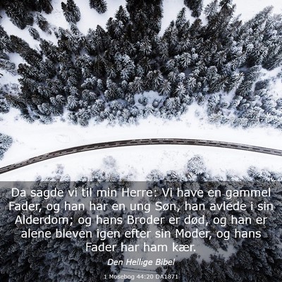 Picture 03 - 1 Mosebog 44:20 DA1871 - Da sagde vi til min Herre: Vi have en gammel - Bible Verse Picture