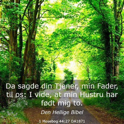 Picture 03 - 1 Mosebog 44:27 DA1871 - Da sagde din Tjener, min Fader, til os: I vide, - Bible Verse Picture