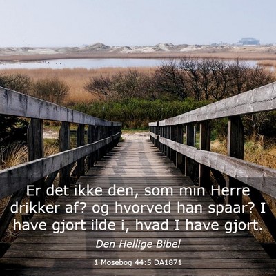 Picture 03 - 1 Mosebog 44:5 DA1871 - Er det ikke den, som min Herre drikker af? og - Bible Verse Picture