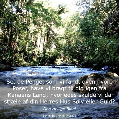 Picture 03 - 1 Mosebog 44:8 DA1871 - Se, de Penge, som vi fandt oven i vore Poser, - Bible Verse Picture