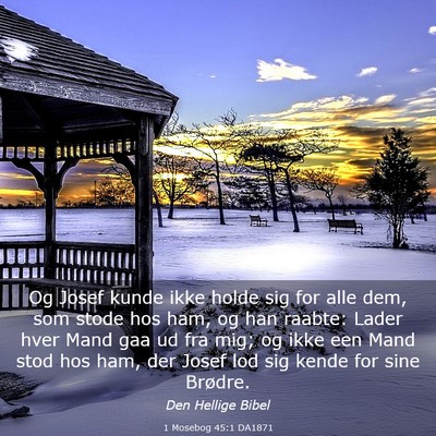 Picture 03 - 1 Mosebog 45:1 DA1871 - Og Josef kunde ikke holde sig for alle dem, som - Bible Verse Picture