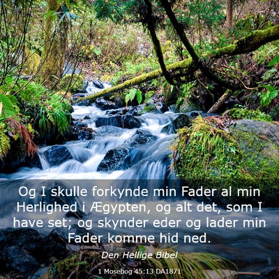 Picture 03 - 1 Mosebog 45:13 DA1871 - Og I skulle forkynde min Fader al min Herlighed i - Bible Verse Picture