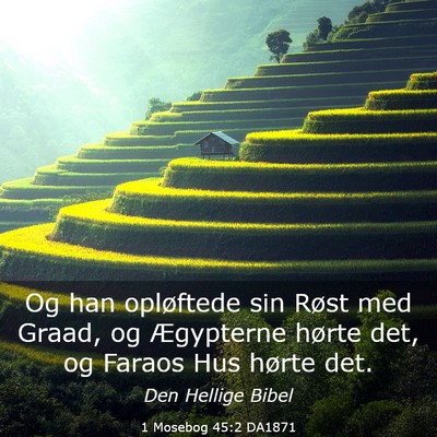 Picture 03 - 1 Mosebog 45:2 DA1871 - Og han opløftede sin Røst med Graad, og - Bible Verse Picture