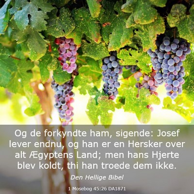 Picture 03 - 1 Mosebog 45:26 DA1871 - Og de forkyndte ham, sigende: Josef lever endnu, - Bible Verse Picture
