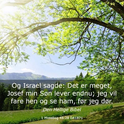 Picture 03 - 1 Mosebog 45:28 DA1871 - Og Israel sagde: Det er meget, Josef min Søn - Bible Verse Picture