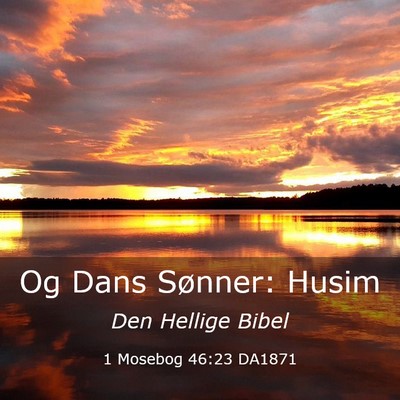 Picture 03 - 1 Mosebog 46:23 DA1871 - Og Dans Sønner: - Bible Verse Picture