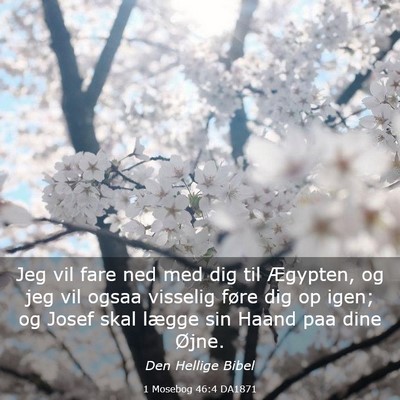 Picture 03 - 1 Mosebog 46:4 DA1871 - Jeg vil fare ned med dig til Ægypten, og jeg vil - Bible Verse Picture