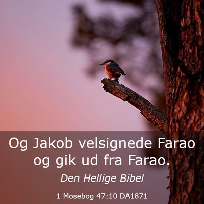 Picture 03 - 1 Mosebog 47:10 DA1871 - Og Jakob velsignede Farao og gik ud fra - Bible Verse Picture