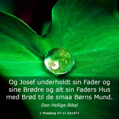 Picture 03 - 1 Mosebog 47:12 DA1871 - Og Josef underholdt sin Fader og sine Brødre og - Bible Verse Picture