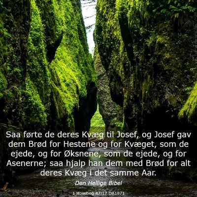 Picture 03 - 1 Mosebog 47:17 DA1871 - Saa førte de deres Kvæg til Josef, og Josef gav - Bible Verse Picture