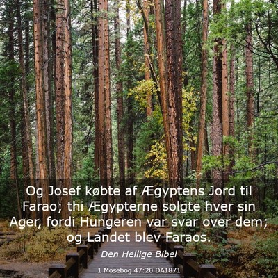 Picture 03 - 1 Mosebog 47:20 DA1871 - Og Josef købte af Ægyptens Jord til Farao; thi - Bible Verse Picture