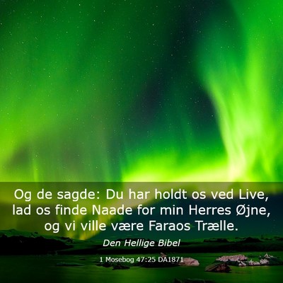 Picture 03 - 1 Mosebog 47:25 DA1871 - Og de sagde: Du har holdt os ved Live, lad os - Bible Verse Picture