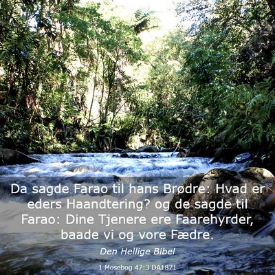 Picture 03 - 1 Mosebog 47:3 DA1871 - Da sagde Farao til hans Brødre: Hvad er eders - Bible Verse Picture