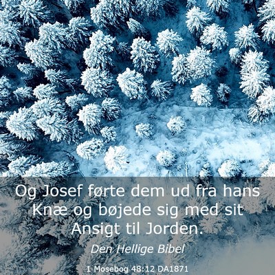 Picture 03 - 1 Mosebog 48:12 DA1871 - Og Josef førte dem ud fra hans Knæ og bøjede - Bible Verse Picture