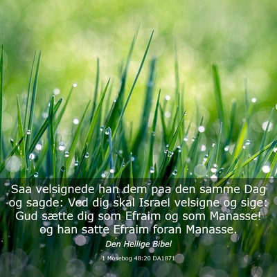 Picture 03 - 1 Mosebog 48:20 DA1871 - Saa velsignede han dem paa den samme Dag og - Bible Verse Picture
