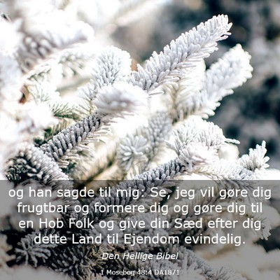 Picture 03 - 1 Mosebog 48:4 DA1871 - og han sagde til mig: Se, jeg vil gøre dig - Bible Verse Picture