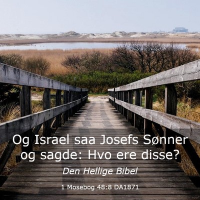 Picture 03 - 1 Mosebog 48:8 DA1871 - Og Israel saa Josefs Sønner og sagde: Hvo ere - Bible Verse Picture