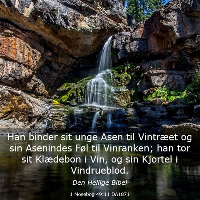 Picture 03 - 1 Mosebog 49:11 DA1871 - Han binder sit unge Asen til Vintræet og sin - Bible Verse Picture