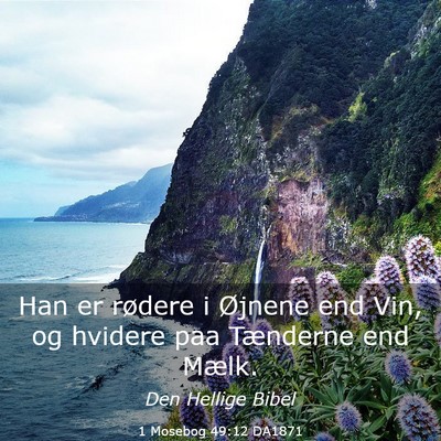 Picture 03 - 1 Mosebog 49:12 DA1871 - Han er rødere i Øjnene end Vin, og hvidere paa - Bible Verse Picture