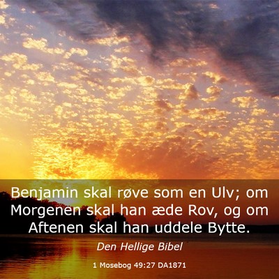 Picture 03 - 1 Mosebog 49:27 DA1871 - Benjamin skal røve som en Ulv; om Morgenen skal - Bible Verse Picture