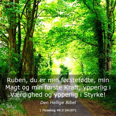 Picture 03 - 1 Mosebog 49:3 DA1871 - Ruben, du er min førstefødte, min Magt og min - Bible Verse Picture